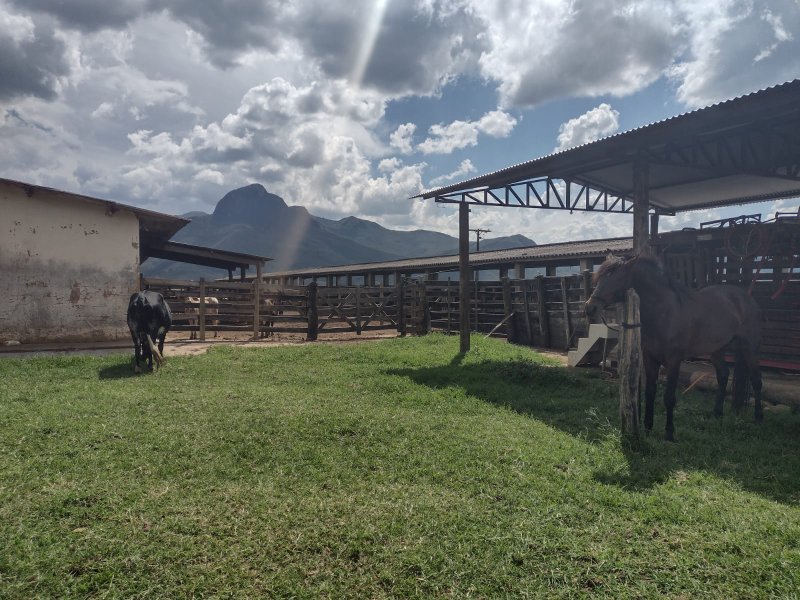 FAZENDA 450 HECTARES EM AIURUOCA - AIURUOCA - 