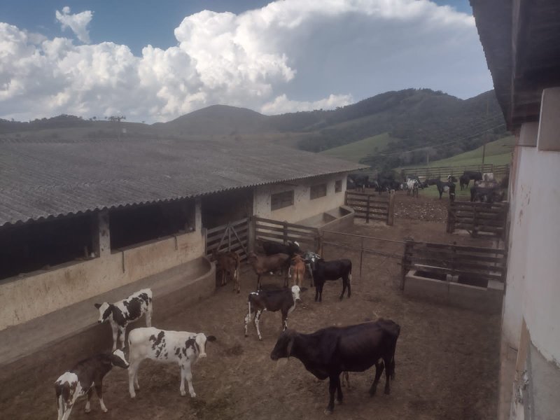 FAZENDA 450 HECTARES EM AIURUOCA - AIURUOCA - 