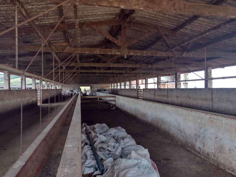 FAZENDA 450 HECTARES EM AIURUOCA - AIURUOCA - 