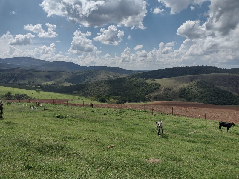 FAZENDA 450 HECTARES EM AIURUOCA - AIURUOCA - 