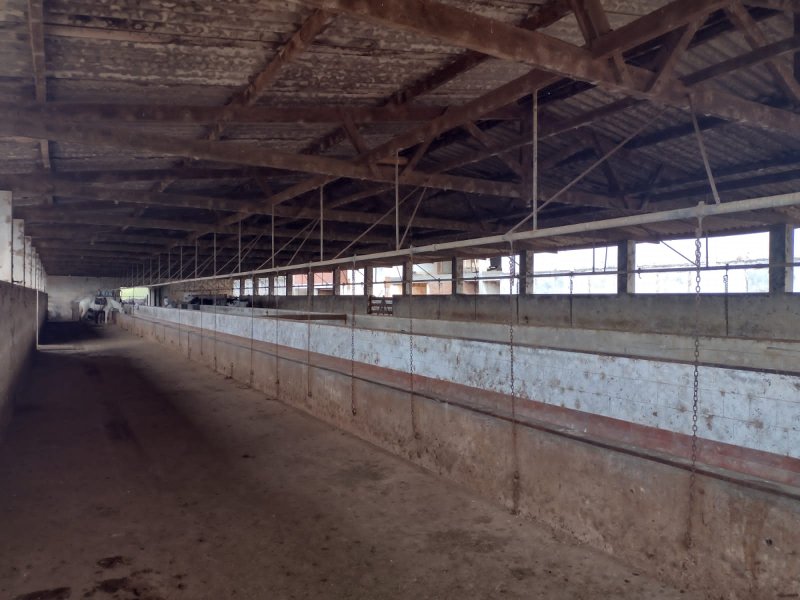 FAZENDA 450 HECTARES EM AIURUOCA - AIURUOCA - 