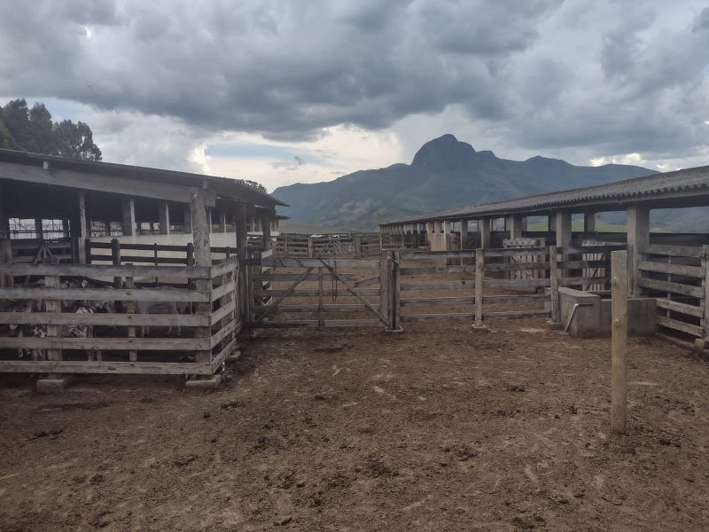 FAZENDA 450 HECTARES EM AIURUOCA - AIURUOCA - 