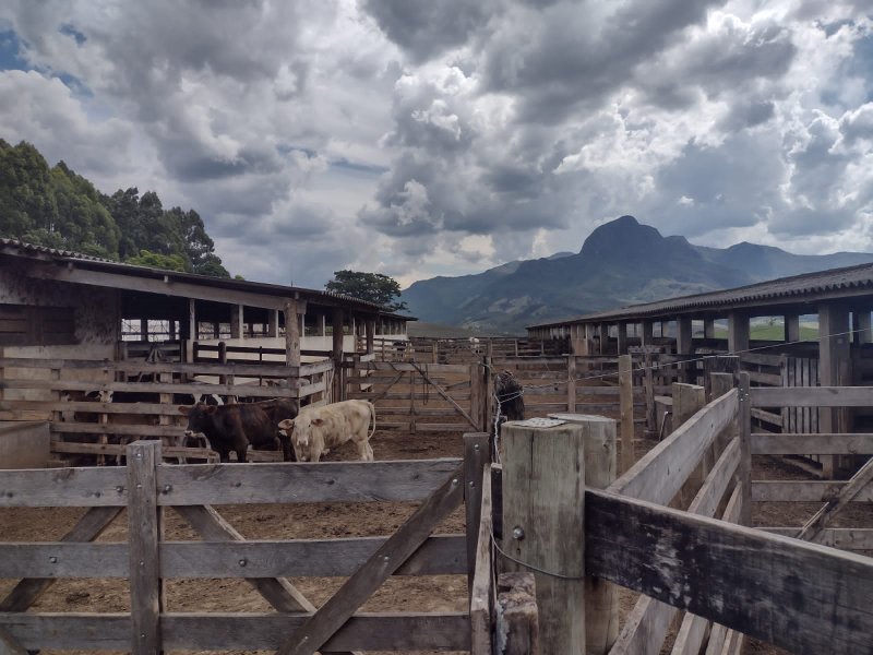 FAZENDA 450 HECTARES EM AIURUOCA - AIURUOCA - 