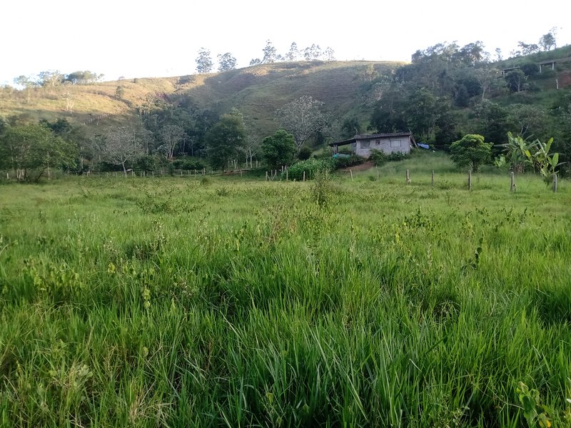 SITIO COM 5 ALQUIRES EM SÃO JOSE DOS CAMPOS SP - São José dos Campos - 