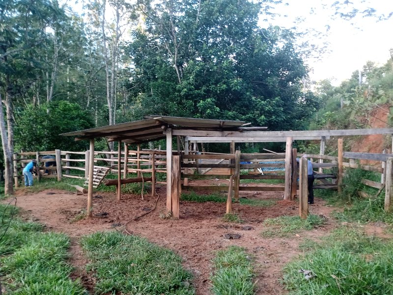 SITIO COM 5 ALQUIRES EM SÃO JOSE DOS CAMPOS SP - São José dos Campos - 