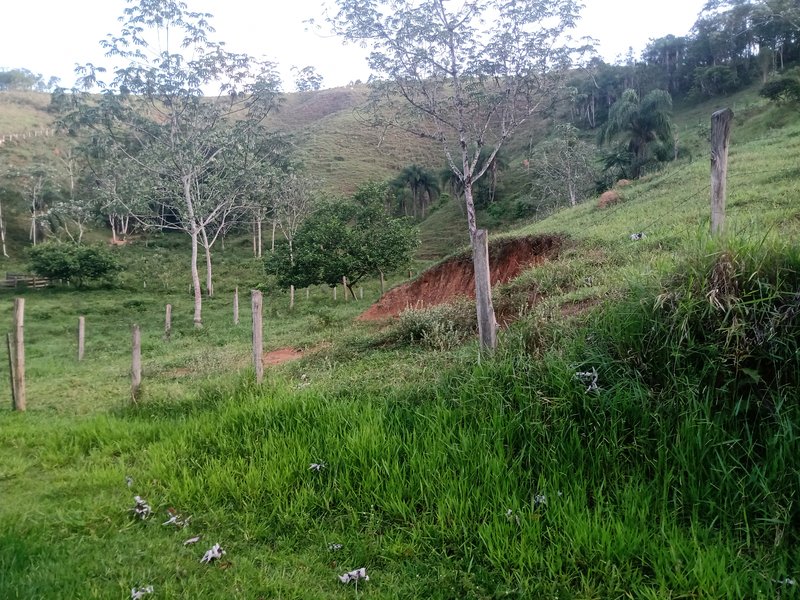SITIO COM 5 ALQUIRES EM SÃO JOSE DOS CAMPOS SP - São José dos Campos - 
