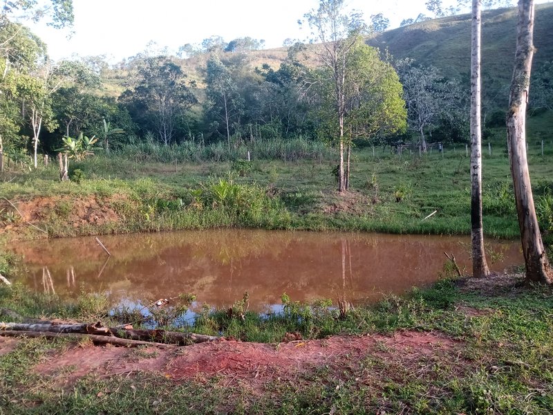 SITIO COM 5 ALQUIRES EM SÃO JOSE DOS CAMPOS SP - São José dos Campos - 