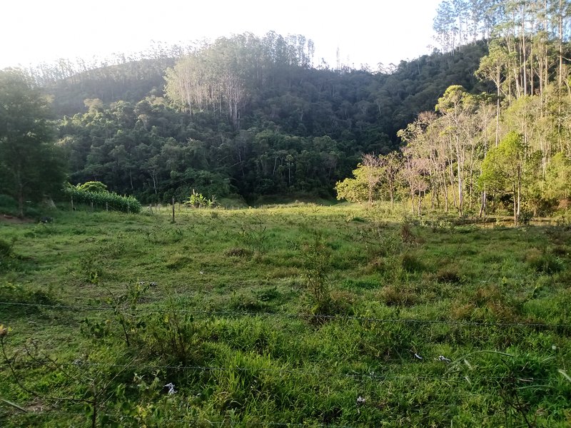 SITIO COM 5 ALQUIRES EM SÃO JOSE DOS CAMPOS SP - São José dos Campos - 