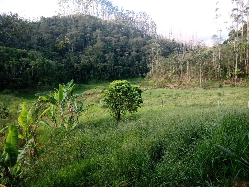 SITIO COM 5 ALQUIRES EM SÃO JOSE DOS CAMPOS SP - São José dos Campos - 