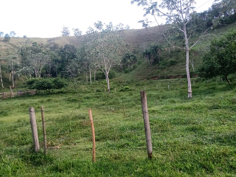 SITIO COM 5 ALQUIRES EM SÃO JOSE DOS CAMPOS SP - São José dos Campos - 