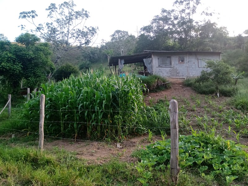 SITIO COM 5 ALQUIRES EM SÃO JOSE DOS CAMPOS SP - São José dos Campos - 