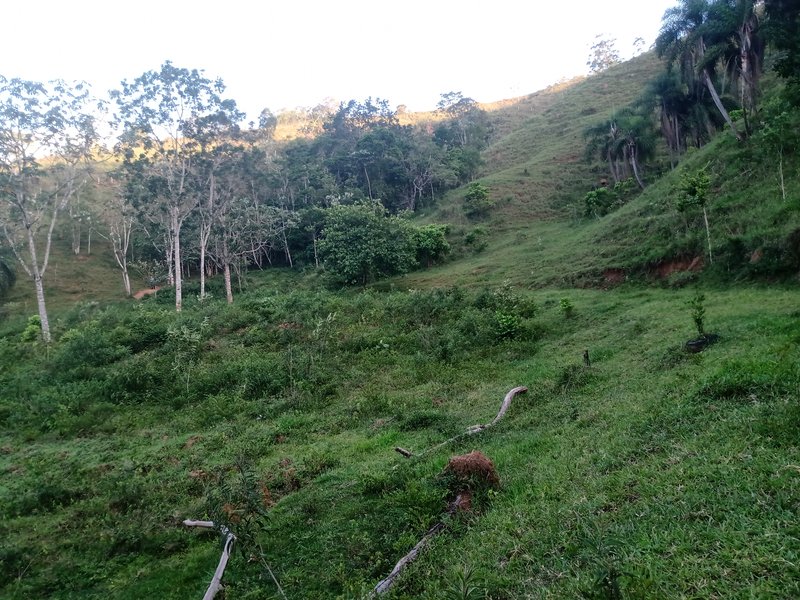 SITIO COM 5 ALQUIRES EM SÃO JOSE DOS CAMPOS SP - São José dos Campos - 
