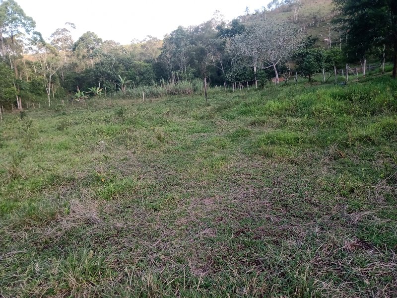 SITIO COM 5 ALQUIRES EM SÃO JOSE DOS CAMPOS SP - São José dos Campos - 