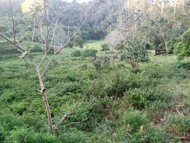 SITIO COM 5 ALQUIRES EM SÃO JOSE DOS CAMPOS SP - São José dos Campos - 