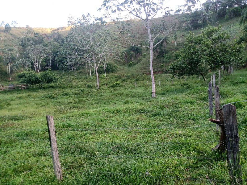 SITIO COM 5 ALQUIRES EM SÃO JOSE DOS CAMPOS SP - São José dos Campos - 