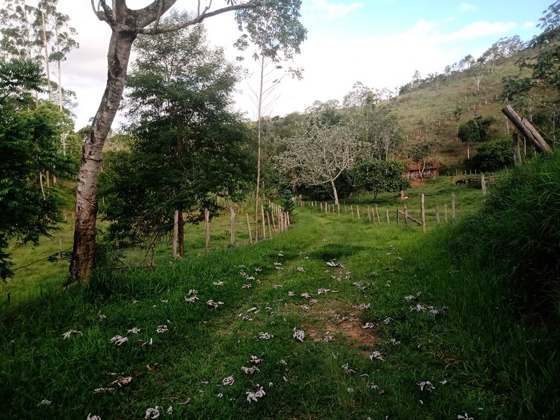 SITIO COM 5 ALQUIRES EM SÃO JOSE DOS CAMPOS SP - São José dos Campos - 