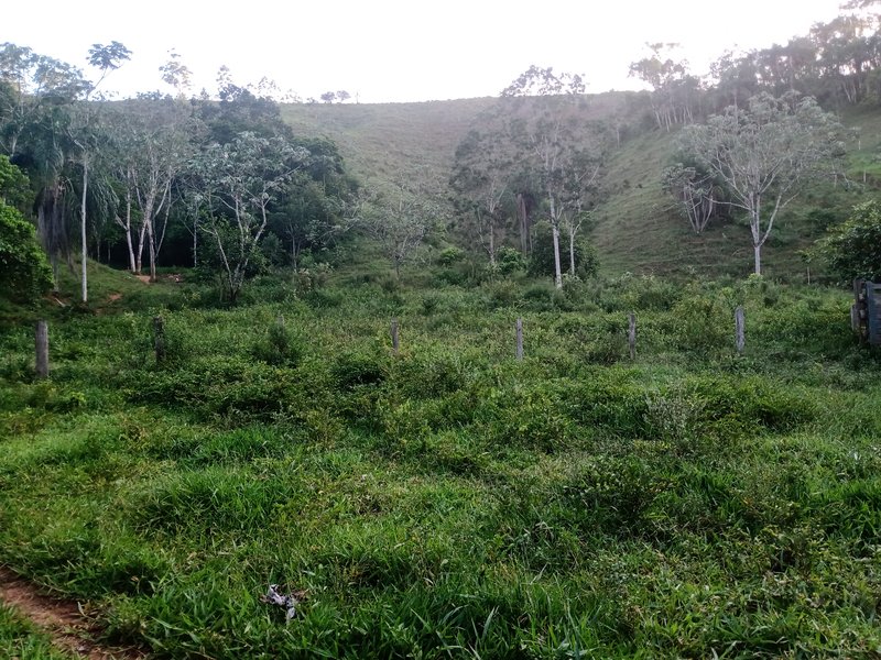 SITIO COM 5 ALQUIRES EM SÃO JOSE DOS CAMPOS SP - São José dos Campos - 
