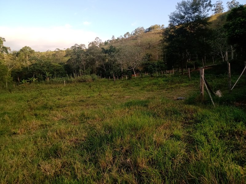 SITIO COM 5 ALQUIRES EM SÃO JOSE DOS CAMPOS SP - São José dos Campos - 
