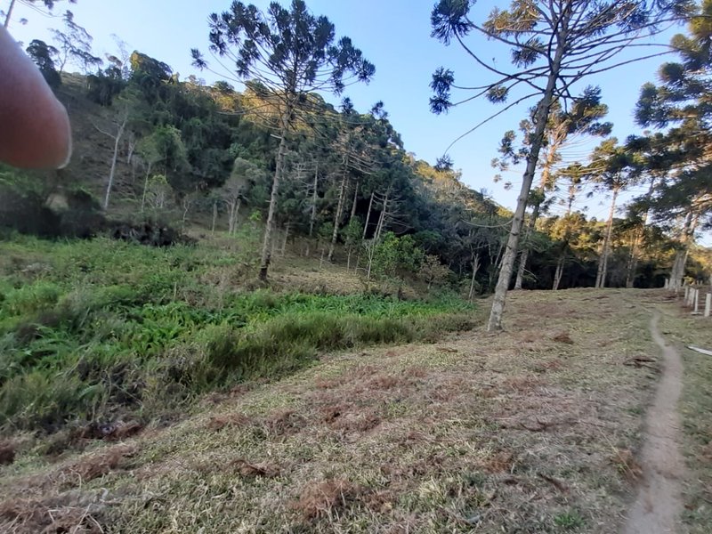 AREA RURAL COM 7 ALQUEIRES EM CUNHA SP - Cunha - 