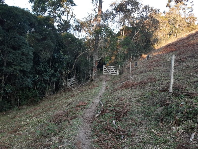 AREA RURAL COM 7 ALQUEIRES EM CUNHA SP - Cunha - 