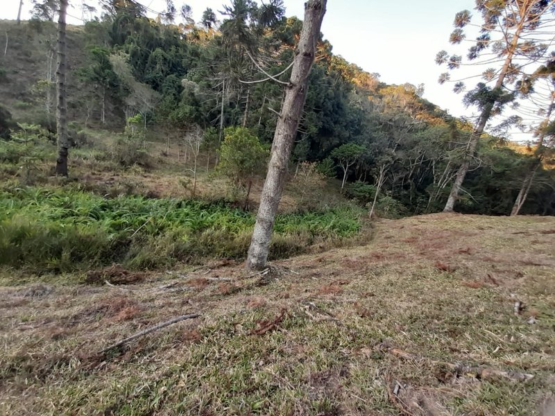 AREA RURAL COM 7 ALQUEIRES EM CUNHA SP - Cunha - 