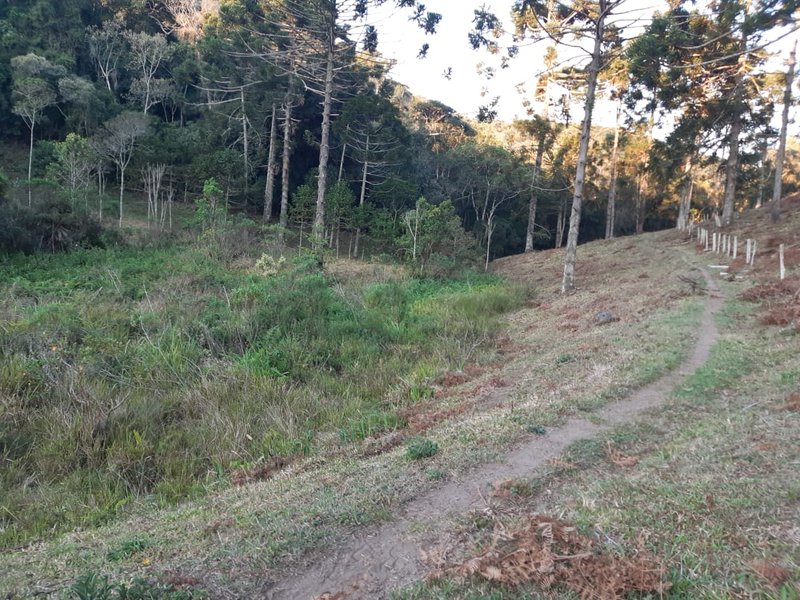 AREA RURAL COM 7 ALQUEIRES EM CUNHA SP - Cunha - 