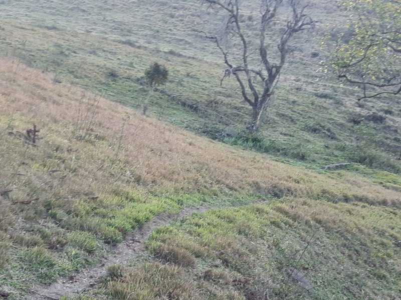 AREA RURAL COM 7 ALQUEIRES EM CUNHA SP - Cunha - 