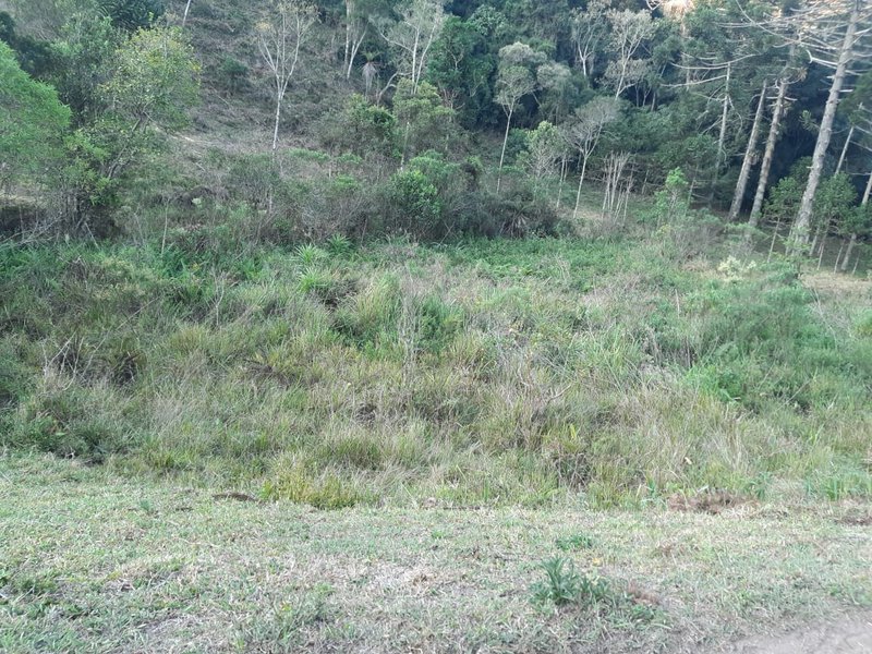 AREA RURAL COM 7 ALQUEIRES EM CUNHA SP - Cunha - 