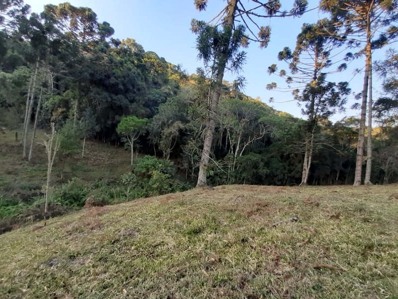 AREA RURAL COM 7 ALQUEIRES EM CUNHA SP - Cunha - 