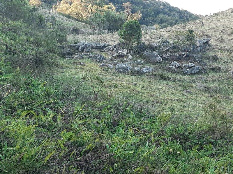 AREA RURAL COM 7 ALQUEIRES EM CUNHA SP - Cunha - 