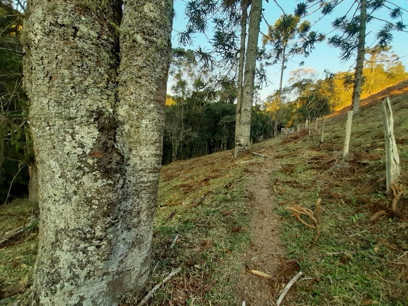 AREA RURAL COM 7 ALQUEIRES EM CUNHA SP - Cunha - 
