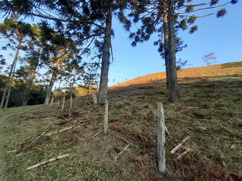 AREA RURAL COM 7 ALQUEIRES EM CUNHA SP - Cunha - 