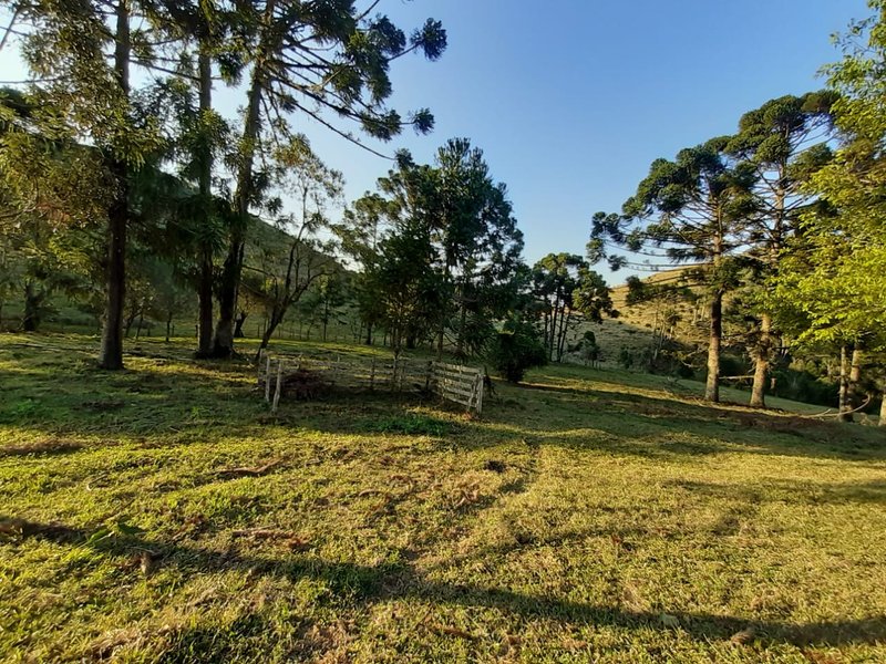AREA RURAL COM 7 ALQUEIRES EM CUNHA SP - Cunha - 