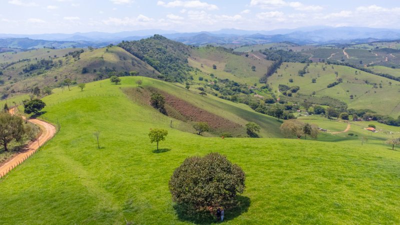 SITIO COM 35 HECTARES EM SÃO LOURENÇO MG - São Lourenço - 