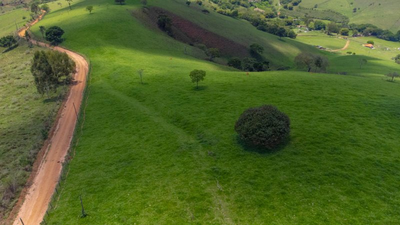 SITIO COM 35 HECTARES EM SÃO LOURENÇO MG - São Lourenço - 