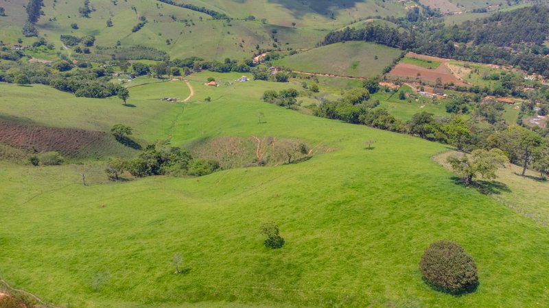 SITIO COM 35 HECTARES EM SÃO LOURENÇO MG - São Lourenço - 
