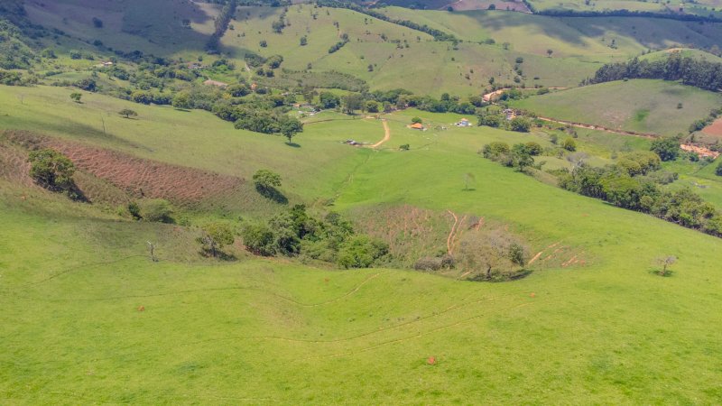 SITIO COM 35 HECTARES EM SÃO LOURENÇO MG - São Lourenço - 