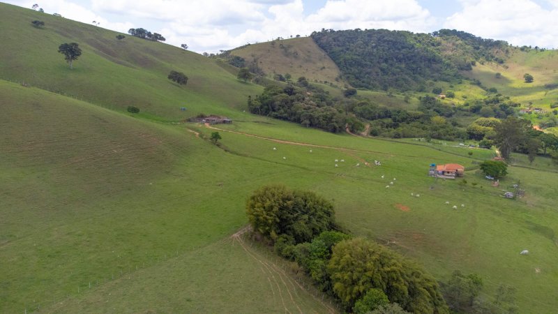 SITIO COM 35 HECTARES EM SÃO LOURENÇO MG - São Lourenço - 