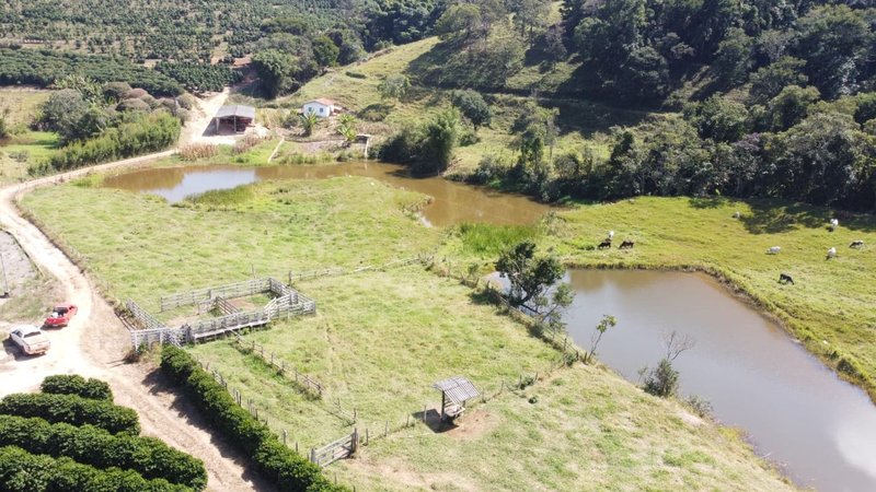 FAZENDA COM 21.75 ALQUEIRES NA REGIÃO DE SÃO GONSALO DO SAPUCAÍ, M.G - SAO GONCALO DO SAPUCAI - 