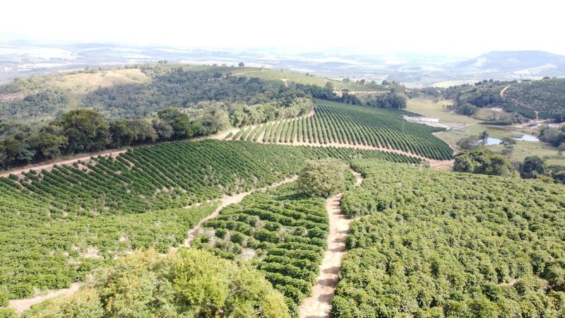 FAZENDA COM 21.75 ALQUEIRES NA REGIÃO DE SÃO GONSALO DO SAPUCAÍ, M.G - SAO GONCALO DO SAPUCAI - 