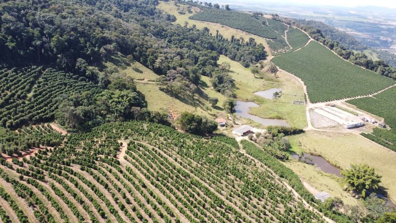 FAZENDA COM 21.75 ALQUEIRES NA REGIÃO DE SÃO GONSALO DO SAPUCAÍ, M.G - SAO GONCALO DO SAPUCAI - 