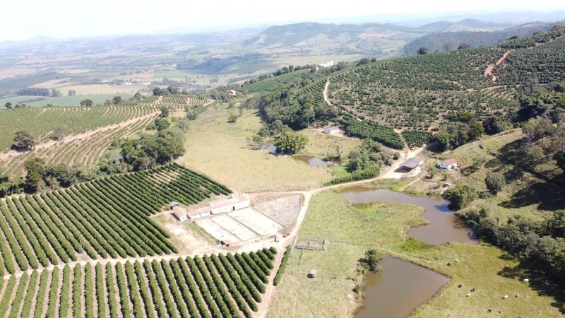 FAZENDA COM 21.75 ALQUEIRES NA REGIÃO DE SÃO GONSALO DO SAPUCAÍ, M.G - SAO GONCALO DO SAPUCAI - 