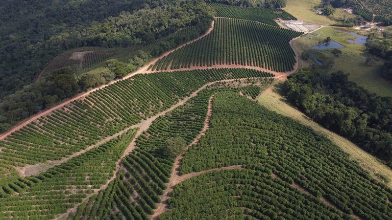FAZENDA COM 21.75 ALQUEIRES NA REGIÃO DE SÃO GONSALO DO SAPUCAÍ, M.G - SAO GONCALO DO SAPUCAI - 