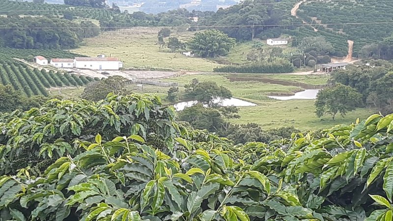 FAZENDA COM 21.75 ALQUEIRES NA REGIÃO DE SÃO GONSALO DO SAPUCAÍ, M.G - SAO GONCALO DO SAPUCAI - 