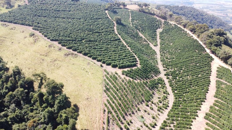 FAZENDA COM 21.75 ALQUEIRES NA REGIÃO DE SÃO GONSALO DO SAPUCAÍ, M.G - SAO GONCALO DO SAPUCAI - 