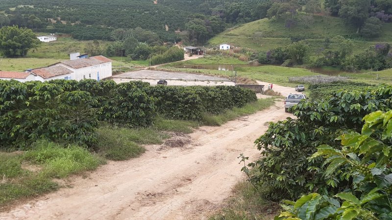 FAZENDA COM 21.75 ALQUEIRES NA REGIÃO DE SÃO GONSALO DO SAPUCAÍ, M.G - SAO GONCALO DO SAPUCAI - 