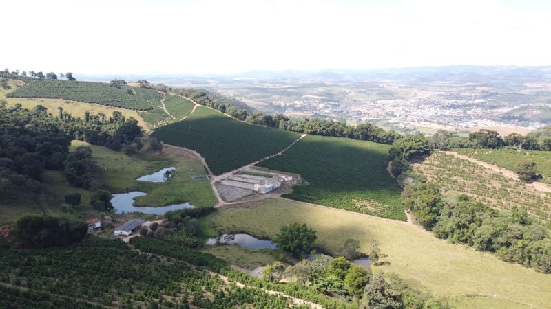 FAZENDA COM 21.75 ALQUEIRES NA REGIÃO DE SÃO GONSALO DO SAPUCAÍ, M.G - SAO GONCALO DO SAPUCAI - 