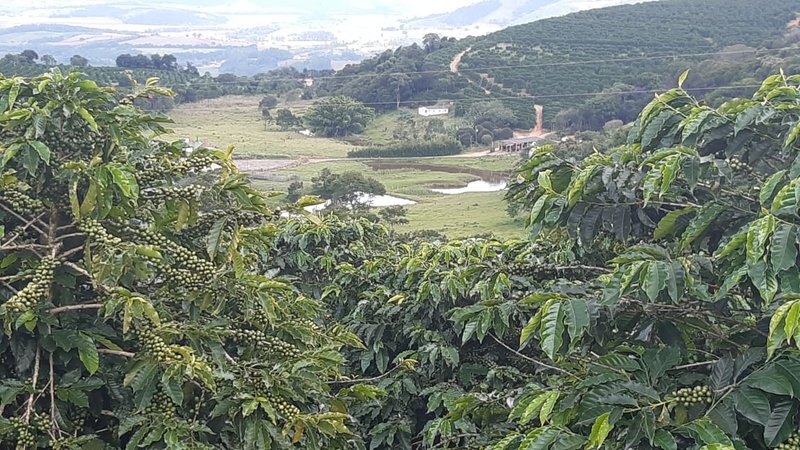 FAZENDA COM 21.75 ALQUEIRES NA REGIÃO DE SÃO GONSALO DO SAPUCAÍ, M.G - SAO GONCALO DO SAPUCAI - 