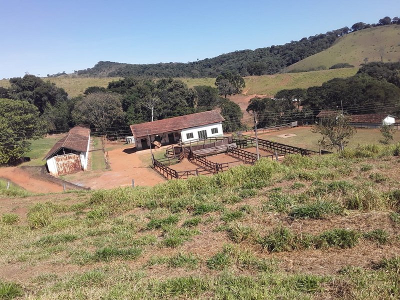 FAZENDA COM 148 HECTARES NA REGIÃO DE CONÇEIÇÃO DO RIO VERDE MG - CONCEICAO DO RIO VERDE - 