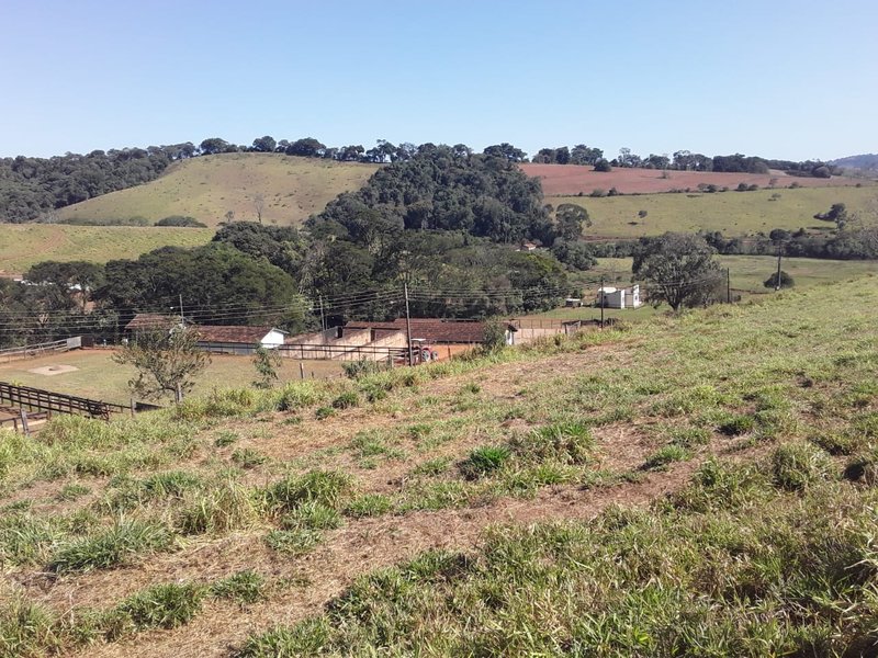 FAZENDA COM 148 HECTARES NA REGIÃO DE CONÇEIÇÃO DO RIO VERDE MG - CONCEICAO DO RIO VERDE - 